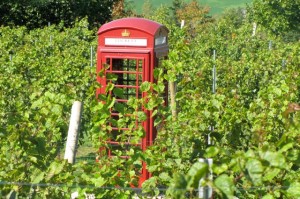 Eine Telefonzelle in Luckett Vineyards