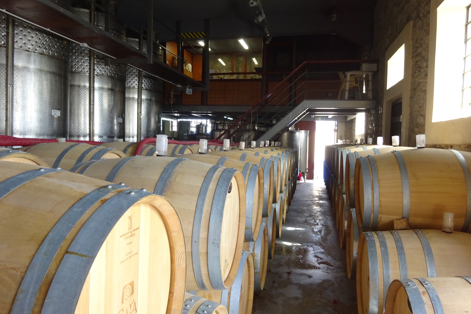 Gaia Winery Weinbeobachter